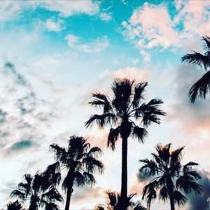 Meet your Posher, Mandy